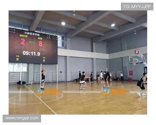 专访杨芳：探寻篮球领域成功背后的秘诀与智慧